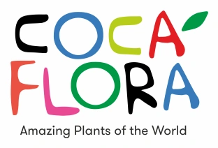 CocaFlora - Amazing Plants of the World
